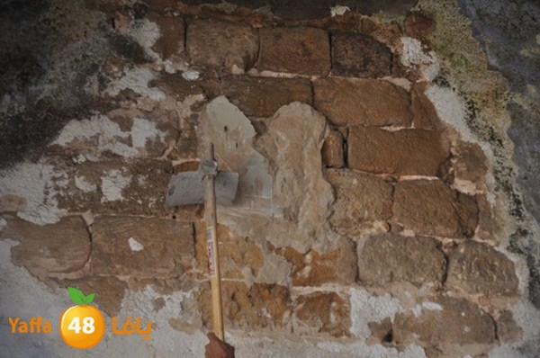 roben awqfaf0412 (30).JPG